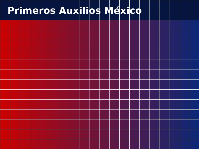 Acerca de Primeros Auxilios M&eacute;xico